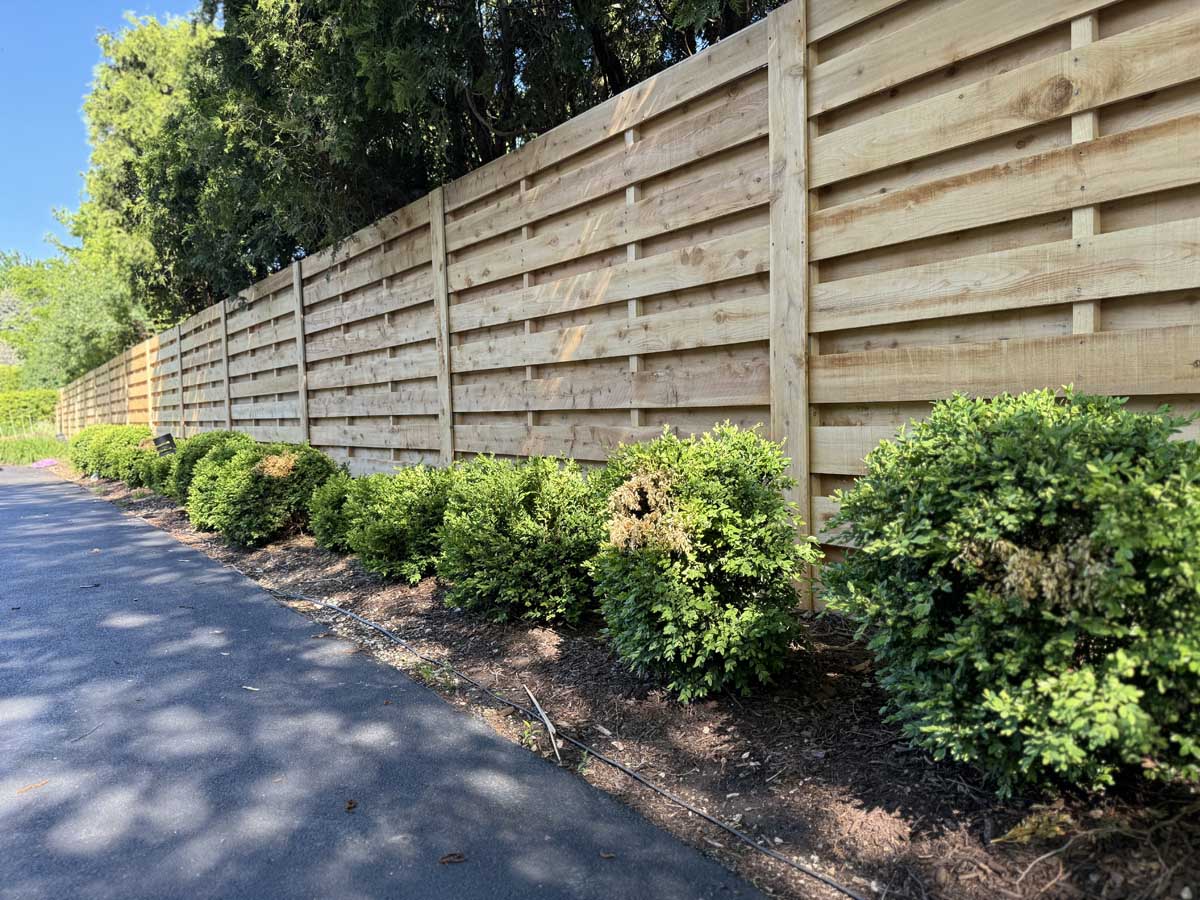 Newly installed light wood horizontal slat privacy fence lining a paved walkway, with neatly trimmed green shrubs at the fence base, tall trees in the background on a sunny day